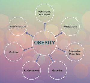 Obesity Causes